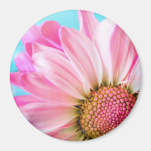 Beautiful Pink Flower Close Up Photo Magnet