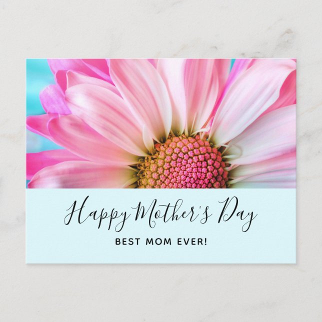 Beautiful Pink Flower Close Up Photo Mother's Day Holiday Postcard (Front)