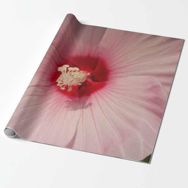 Beautiful Pink Flower Close Up PhotoWrapping Paper (Unrolled)