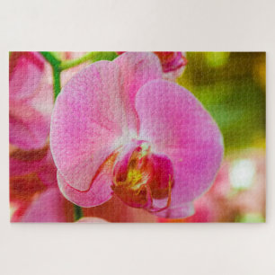 Beautiful pink flower jigsaw puzzle