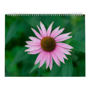 Beautiful Pink Flowers Calendar