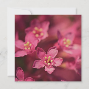 Beautiful Pink Flowers Card