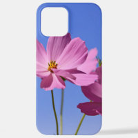 beautiful pink flowers hugging a clear blue sky