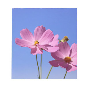 beautiful pink flowers hugging a clear blue sky notepad