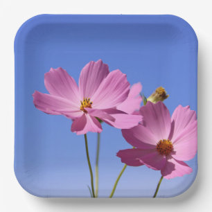 beautiful pink flowers hugging a clear blue sky paper plate