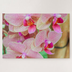 Beautiful pink flowers jigsaw puzzle