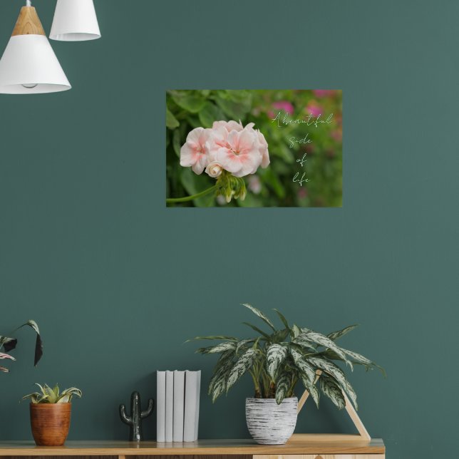 Beautiful pink geraniums poster (Living Room 1)