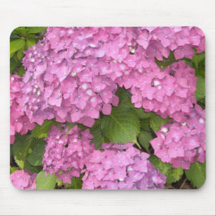 Beautiful Pink Hydrangeas Mouse Pad