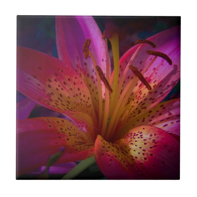 Beautiful Pink Lily Tile (Front)