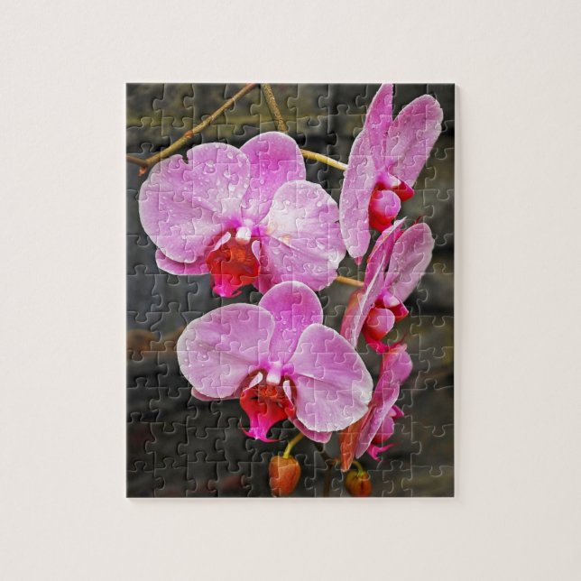 Beautiful pink moth orchids jigsaw puzzle (Vertical)