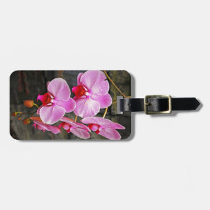 Beautiful pink moth orchids luggage tag