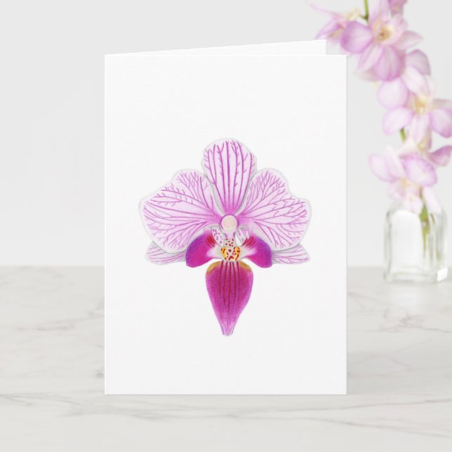 Beautiful Pink orchid  Card (Orchid)