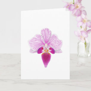 Beautiful Pink orchid Card