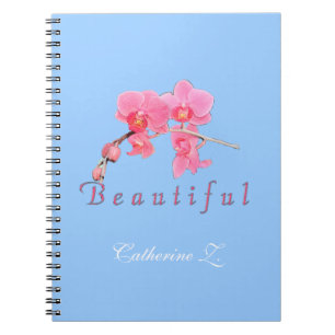 Beautiful pink orchid flowers in blue background. notebook