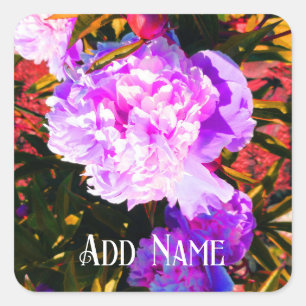 Beautiful Pink Peonies Square Sticker