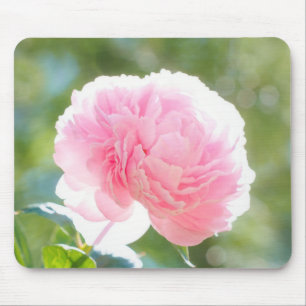 Beautiful Pink Peony Flower in Sunlight Mouse Pad