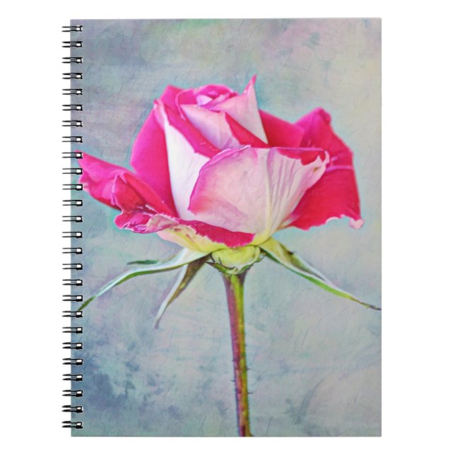 Beautiful Pink Rose Artsy Journal Notebook (Front)