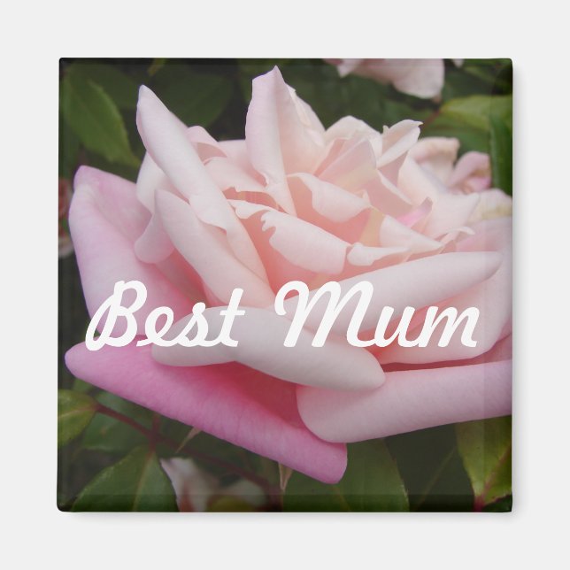 Beautiful Pink Rose Best Mom Flower Design Magnet (Front)