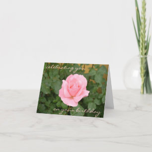 Beautiful Pink Rose Birthday Card