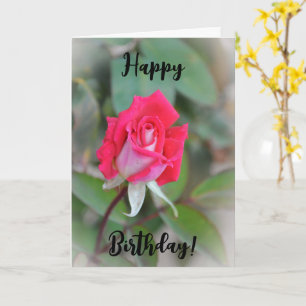 Beautiful Pink Rose Bud Birthday Card