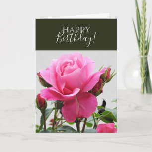 Beautiful Pink Rose Card