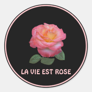 Beautiful Pink Rose Classic Round Sticker