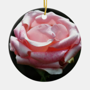 Beautiful Pink Rose Close-up Ceramic Ornament