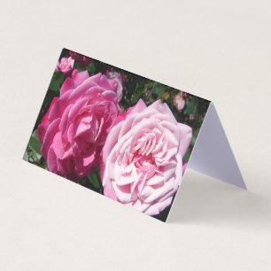 Beautiful Pink Rose Love Greetings Card