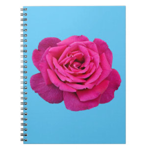 Beautiful pink rose notebook