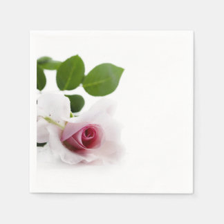 Beautiful pink rose over white background napkin