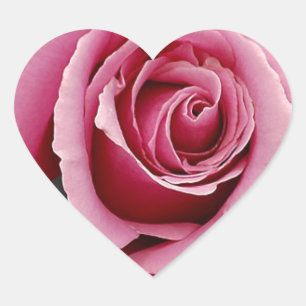 Beautiful pink rose petals print heart sticker