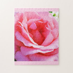 Beautiful pink rose Puzzle