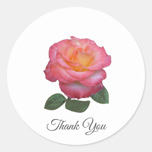 Beautiful Pink Rose Thank You Classic Round Sticke Classic Round Sticker (Front)