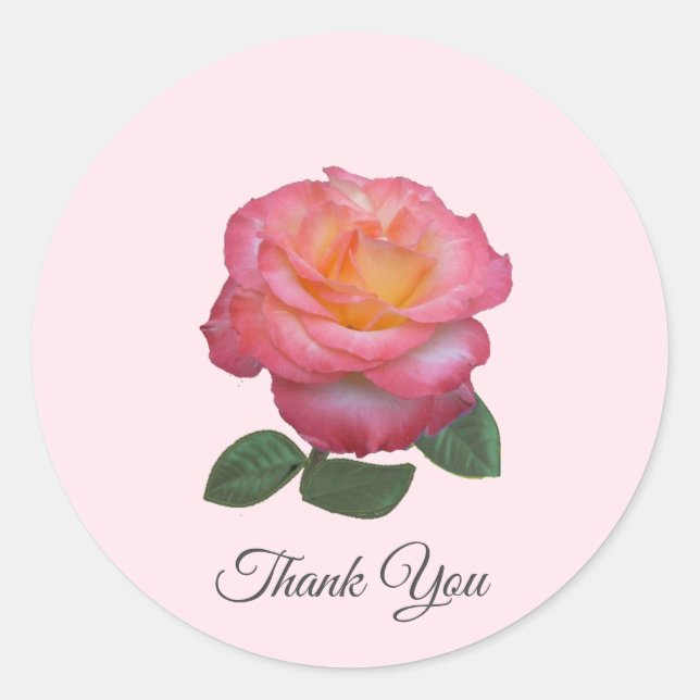 Beautiful Pink Rose Thank You Classic Round Sticker (Front)