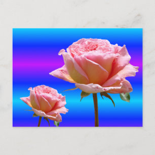Beautiful Pink Roses Close Up DIY Postcard