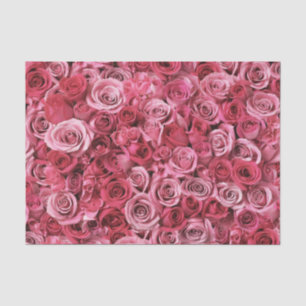 Beautiful Pink Roses Tissue Paper