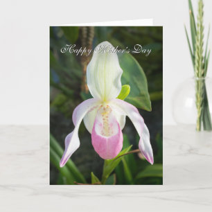 Beautiful Pink Slipper Orchid Mother's Day Card