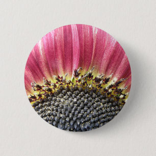 Beautiful Pink Sunflower Button