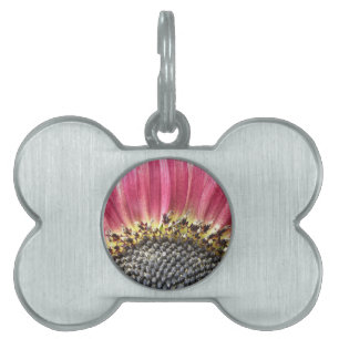 Beautiful Pink Sunflower Pet Tag