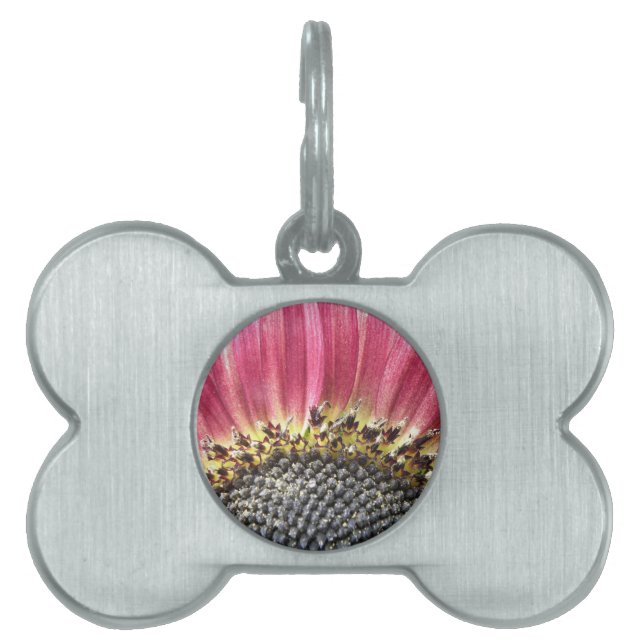 Beautiful Pink Sunflower Pet Tag (Front)