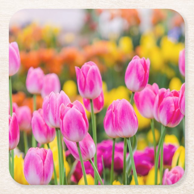 Beautiful Pink Tulips Square Paper Coaster (Front)
