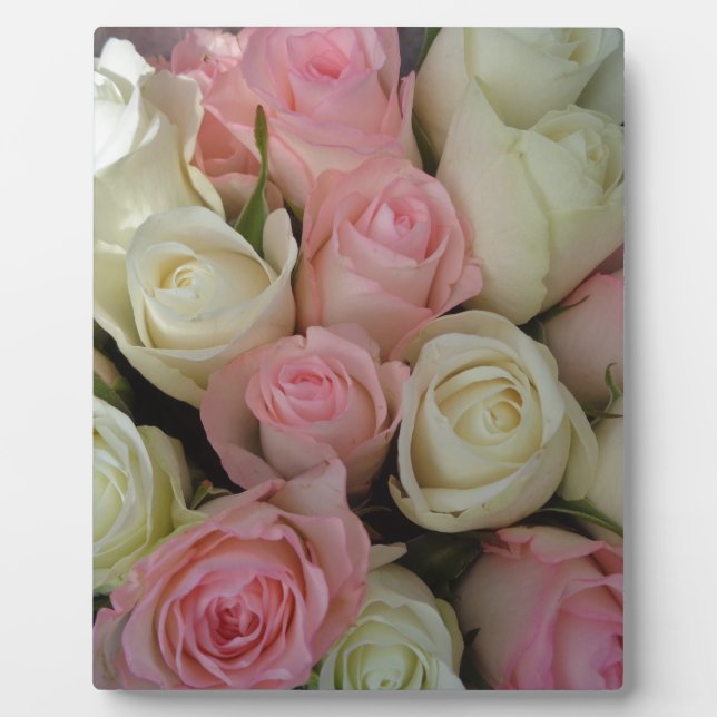 Beautiful Pink White Roses Flower Bouquet Plaque (Front)