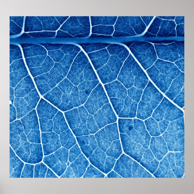 Beautiful Plant Closeup Texture Background Poster (Front)