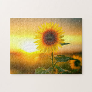beautiful plant flower sunflower at sunset jigsaw puzzle