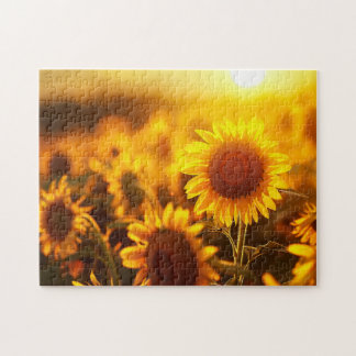 beautiful plant flower sunflower at sunset jigsaw puzzle