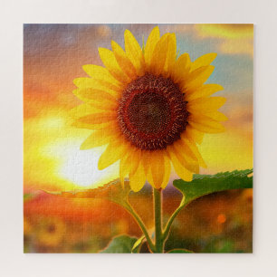 beautiful plant flower sunflower at sunset jigsaw puzzle
