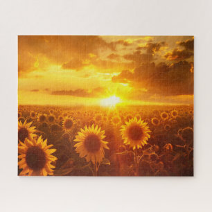 beautiful plant flower sunflower at sunset on the jigsaw puzzle