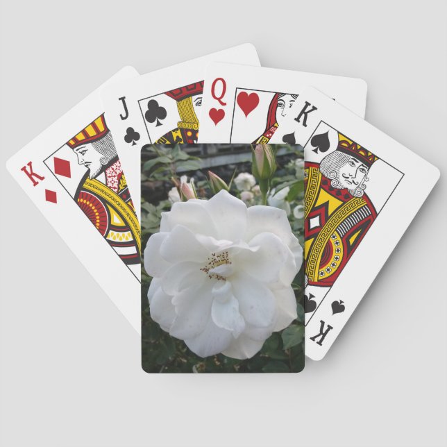 Beautiful Playing Cards (Back)