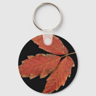 Beautiful Poison Ivy leaves Key Ring