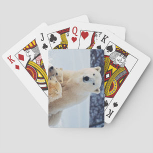 Beautiful Polar Bear and Her Cubs Playing Cards